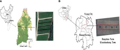 Soil microbial population as affected by tillage and rice cultivation modes in Stagnic Anthrosols and Lateritic Red Earth soils in Southern China